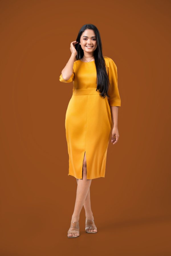 Short Workwear Dress