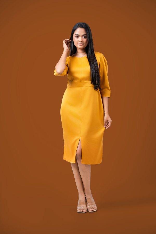 Short Workwear Dress - Image 3