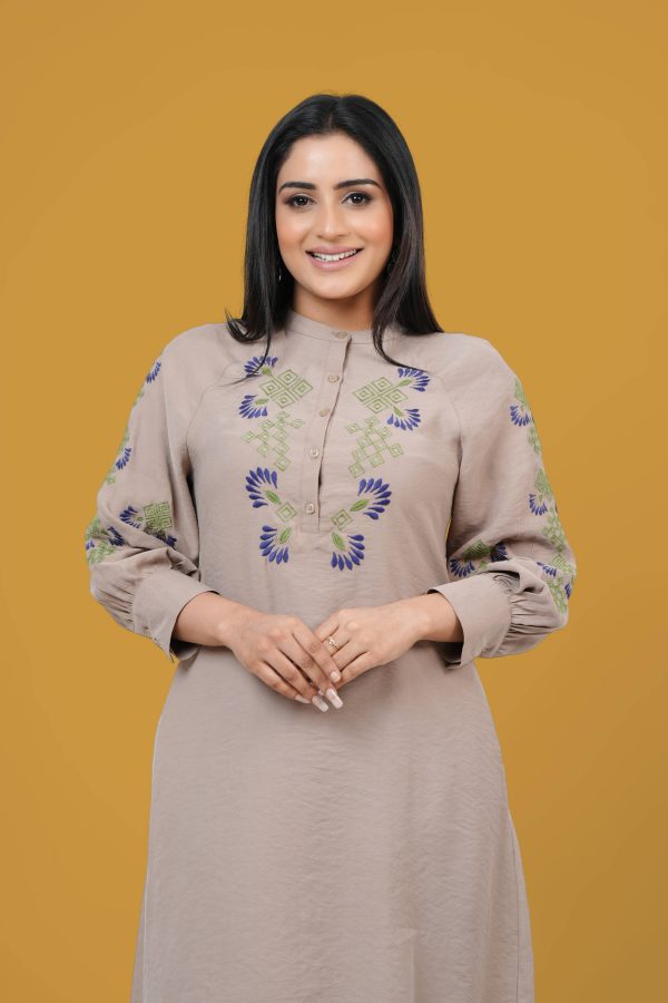 Raglan Sleeve Embroidered Short Dress
