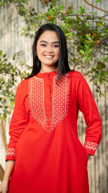 Embroidered Chinese Collar Midi Dress